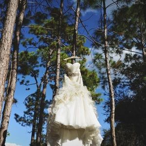 Anne Barge Blake Wedding Dress